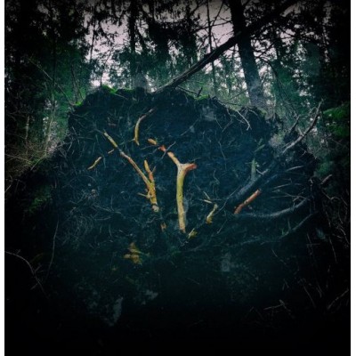 AUKELS – Raynkaym LP AUKELS – Raynkaym LP